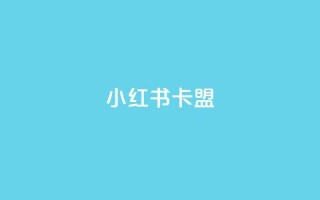 小红书卡盟 - 抖音点查看权限设置