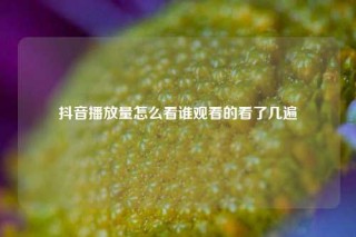 抖音播放量怎么看谁观看的看了几遍