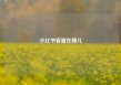 小红书客服在哪儿