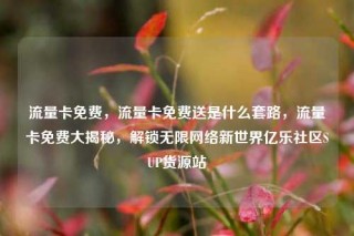 流量卡免费，流量卡免费送是什么套路，流量卡免费大揭秘，解锁无限网络新世界亿乐社区SUP货源站
