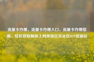 流量卡办理，流量卡办理入口，流量卡办理指南，轻松获取畅快上网体验亿乐社区SUP货源站