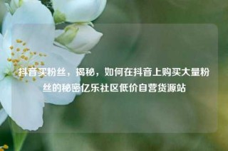 抖音买粉丝，揭秘，如何在抖音上购买大量粉丝的秘密亿乐社区低价自营货源站