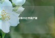 目前小红书用户量