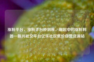 涨粉平台，涨粉平台秒到账，崛起中的涨粉利器—新兴社交平台亿乐社区低价自营货源站