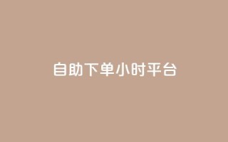 自助下单24小时平台 - 扣扣点赞