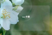 max卡盟