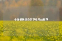 小红书粉丝自助下单网站推荐