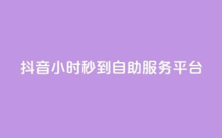 抖音24小时秒到自助服务平台,dy赞在线自助下单网站 - 自助业务商城 - ks业务免费领