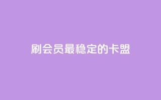 刷会员最稳定的卡盟 - 1元3万粉丝