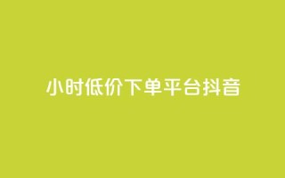 24小时低价下单平台抖音 - 快手业务平台子萧网