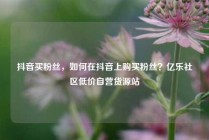 抖音买粉丝，如何在抖音上购买粉丝？亿乐社区低价自营货源站