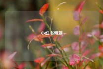 小红书带刷