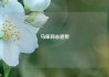 马原同志逝世