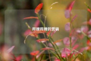 哔哩哔哩的营销