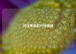 玖伍系统官方资源站