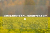 巴西部长称政府暂无为Azul航空提供专项援助计划