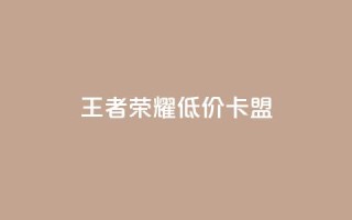 王者荣耀低价卡盟,卡盟dy业务 - 拼多多助力网站新用户 - 拼多多上可以讲价吗