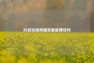 抖音短视频播放量能赚钱吗