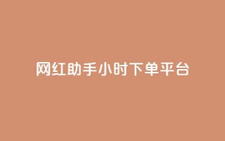 网红助手24小时下单平台,卡盟dy - 全民k歌刷收听量软件正版 - kg24小时自助下单全网最低价