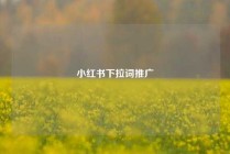 小红书下拉词推广