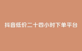 抖音低价二十四小时下单平台,黑科技引流工具快手 - QQ会员卡盟网站 - QQ空间访客购买渠道