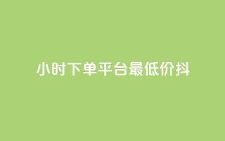 24小时下单平台最低价抖,nap6科技网自助平台 - 快手涨赞涨流量 - 闲鱼业务自助网站