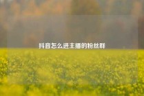 抖音怎么进主播的粉丝群