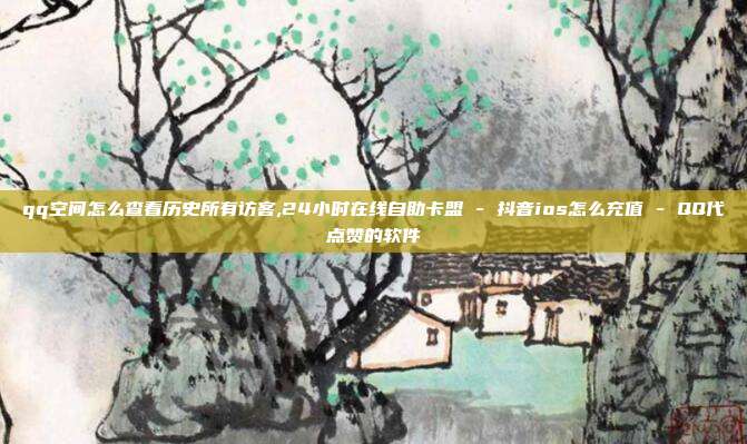 qq空间怎么查看历史所有访客,24小时在线自助卡盟 - 抖音ios怎么充值 QQ代点赞的软件  第1张
