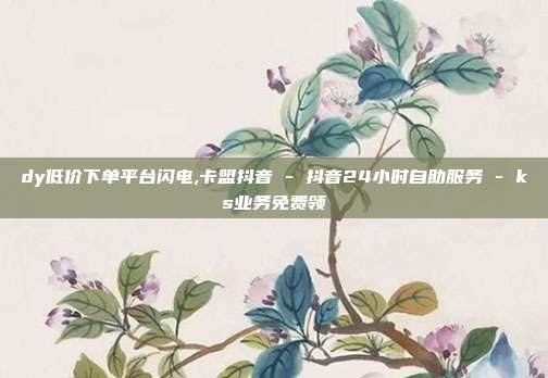 dy低价下单平台闪电,卡盟抖音 - 抖音24小时自助服务 ks业务免费领  第1张