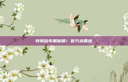 特斯拉车展撤展！官方未回应  第1张