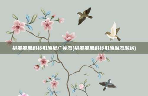 拼多多黑科技引流推广神器(拼多多黑科技引流利器解析)  第1张