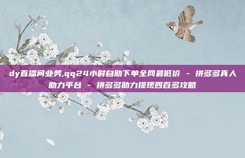dy直播间业务,qq24小时自助下单全网最低价 - 拼多多真人助力平台 拼多多助力提现四百多攻略  第1张