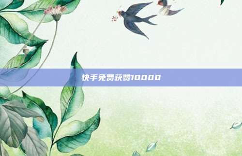 快手免费获赞10000  第1张