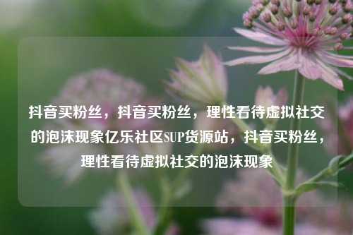 抖音买粉丝，抖音买粉丝，理性看待虚拟社交的泡沫现象亿乐社区SUP货源站，抖音买粉丝，理性看待虚拟社交的泡沫现象  第1张