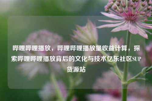 哔哩哔哩播放，哔哩哔哩播放量收益计算，探索哔哩哔哩播放背后的文化与技术亿乐社区SUP货源站  第1张