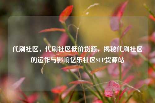 代刷社区，代刷社区低价货源，揭秘代刷社区的运作与影响亿乐社区SUP货源站  第1张