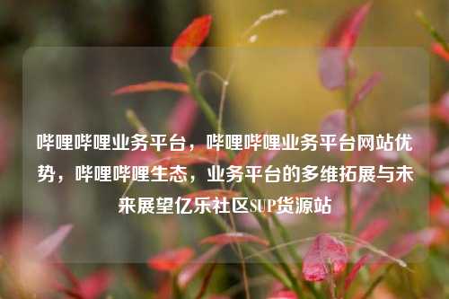 哔哩哔哩业务平台，哔哩哔哩业务平台网站优势，哔哩哔哩生态，业务平台的多维拓展与未来展望亿乐社区SUP货源站  第1张