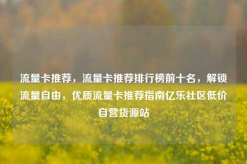 流量卡推荐，流量卡推荐排行榜前十名，解锁流量自由，优质流量卡推荐指南亿乐社区低价自营货源站  第1张