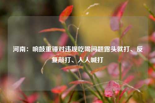 河南：响鼓重锤对违规吃喝问题露头就打、反复敲打、人人喊打  第1张