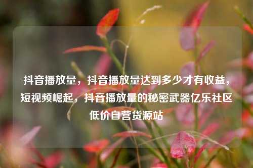 抖音播放量，抖音播放量达到多少才有收益，短视频崛起，抖音播放量的秘密武器亿乐社区低价自营货源站  第1张