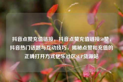 抖音点赞充值链接	，抖音点赞充值链接50赞，抖音热门话题与互动技巧，揭秘点赞和充值的正确打开方式亿乐社区SUP货源站  第1张