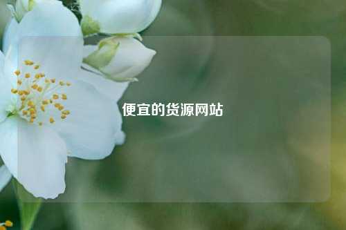 便宜的货源网站  第1张