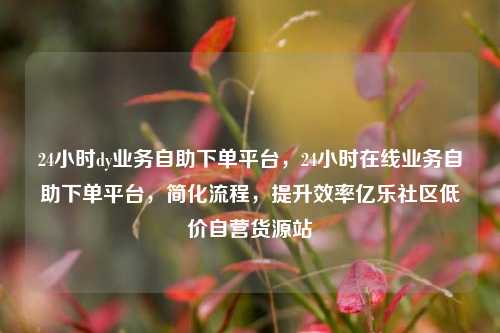 24小时dy业务自助下单平台	，24小时在线业务自助下单平台，简化流程，提升效率亿乐社区低价自营货源站  第1张