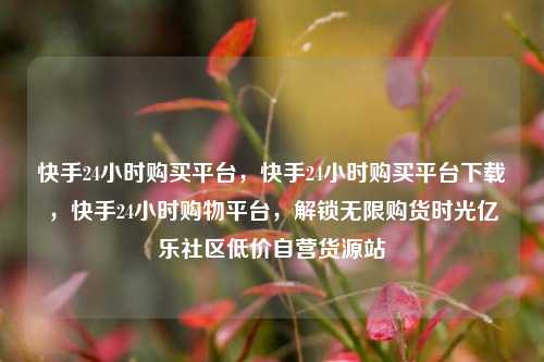 快手24小时购买平台，快手24小时购买平台下载	，快手24小时购物平台，解锁无限购货时光亿乐社区低价自营货源站  第1张