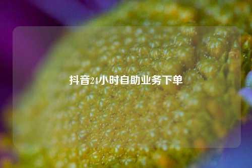 抖音24小时自助业务下单  第1张