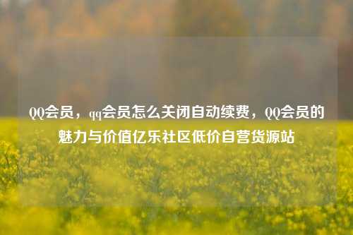 QQ会员，qq会员怎么关闭自动续费	，QQ会员的魅力与价值亿乐社区低价自营货源站  第1张