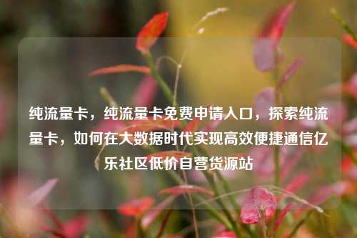 纯流量卡，纯流量卡免费申请入口，探索纯流量卡	，如何在大数据时代实现高效便捷通信亿乐社区低价自营货源站  第1张