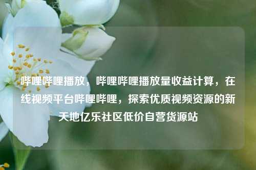 哔哩哔哩播放，哔哩哔哩播放量收益计算，在线视频平台哔哩哔哩	，探索优质视频资源的新天地亿乐社区低价自营货源站  第1张