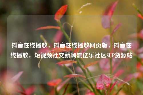 抖音在线播放，抖音在线播放网页版，抖音在线播放	，短视频社交新潮流亿乐社区SUP货源站  第1张