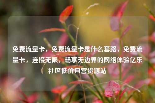 免费流量卡，免费流量卡是什么套路	，免费流量卡，连接无限，畅享无边界的网络体验亿乐社区低价自营货源站  第1张